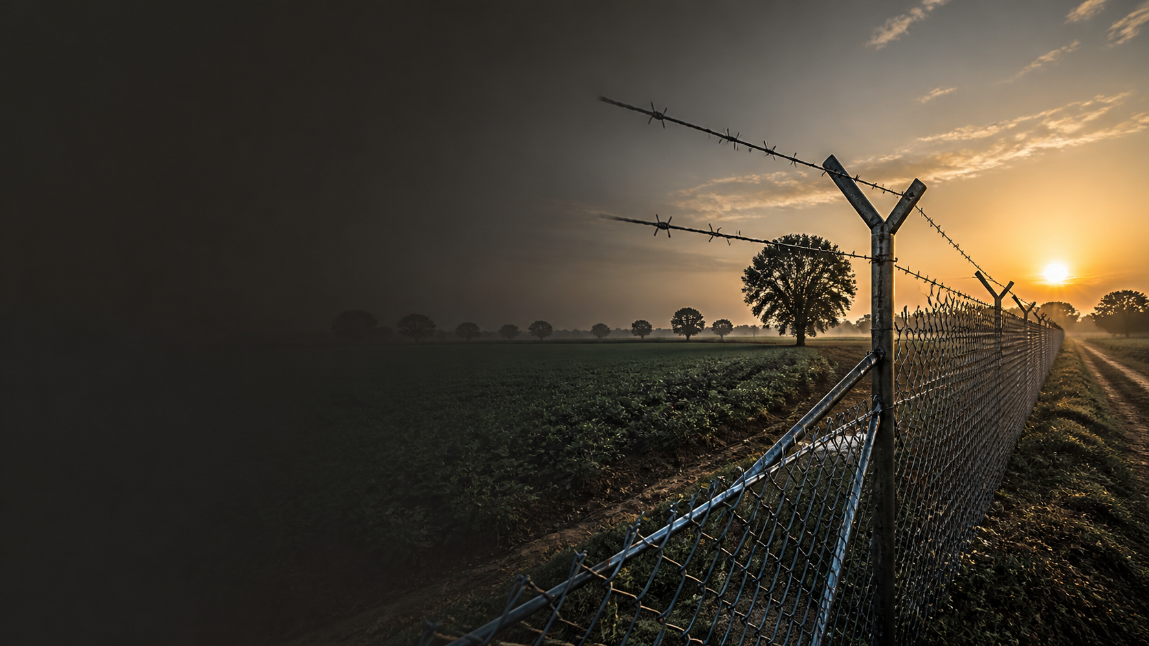A secure galvanized fence along an Indian farm boundary