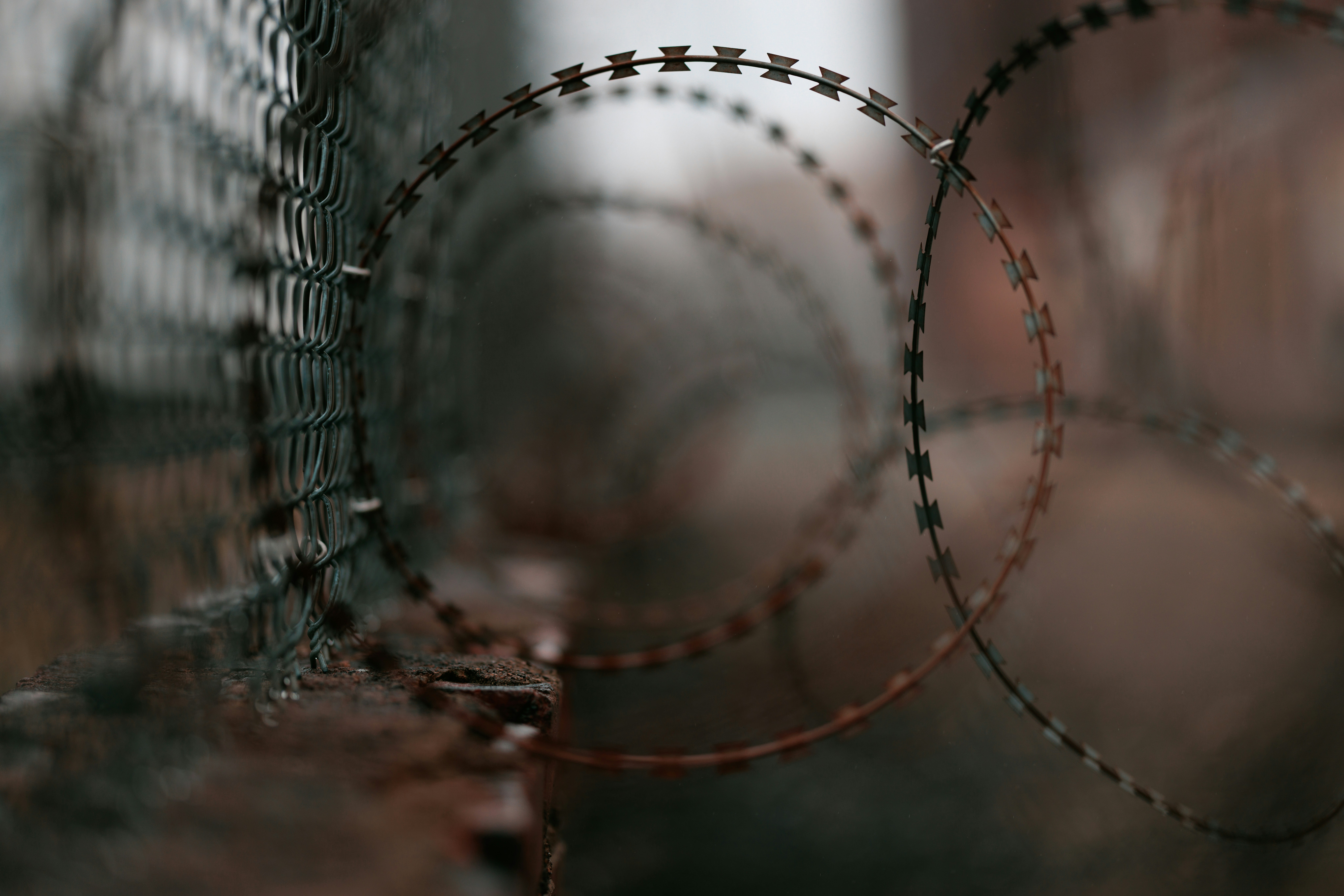 Concertina razor wire installed along a secure boundary