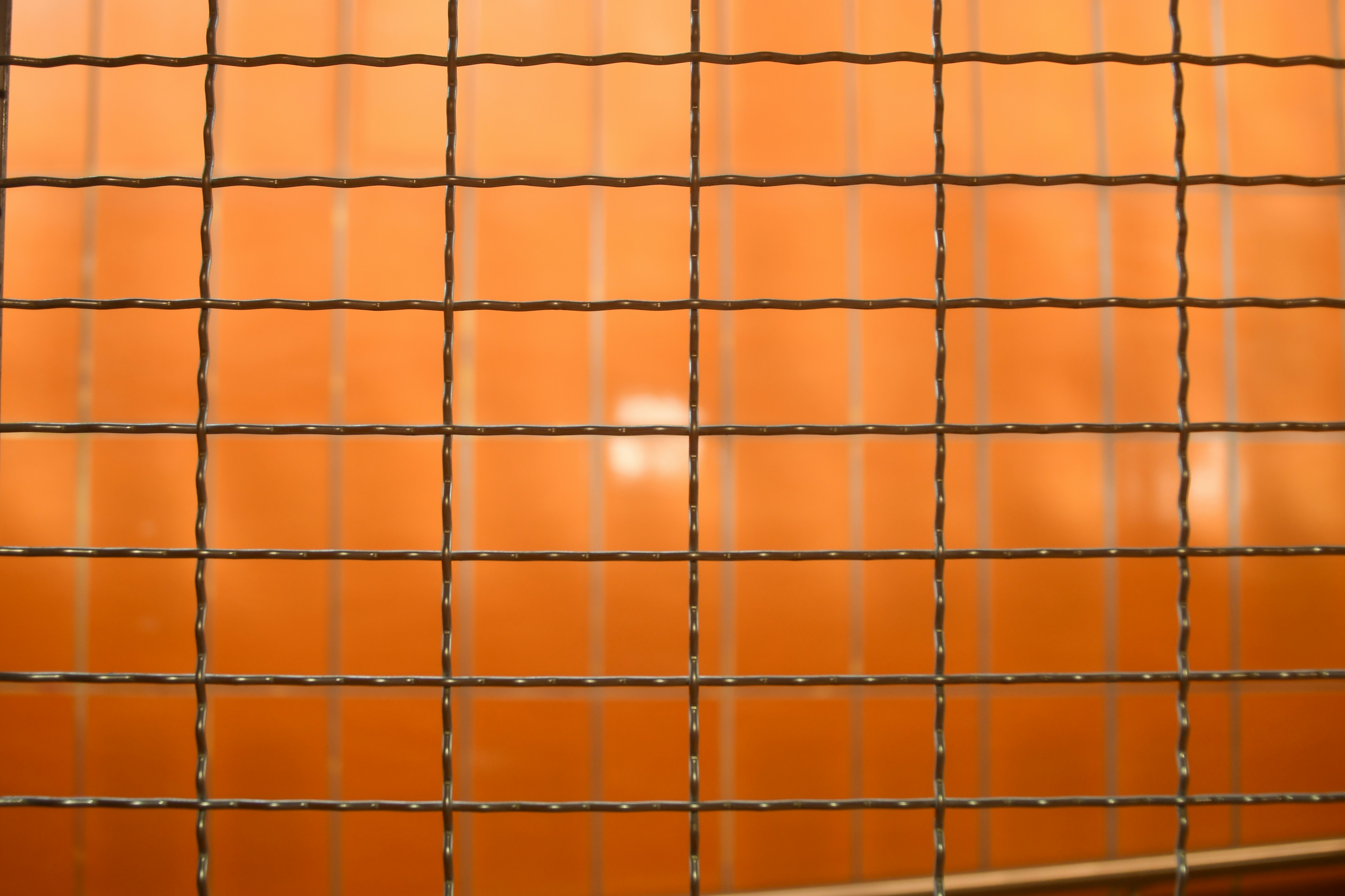 Close view of welded wire mesh