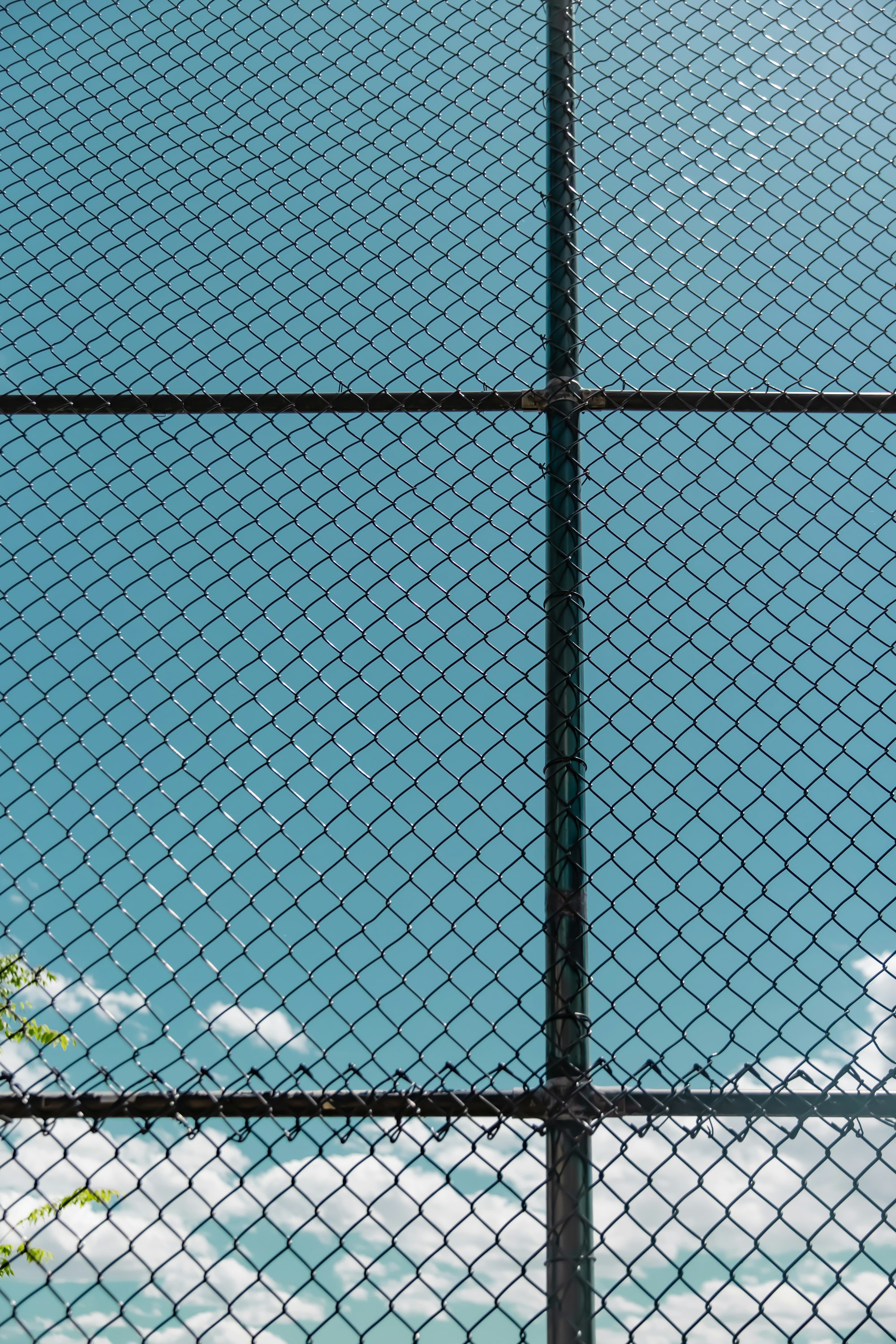 Galvanised chainlink fence along a field boundary